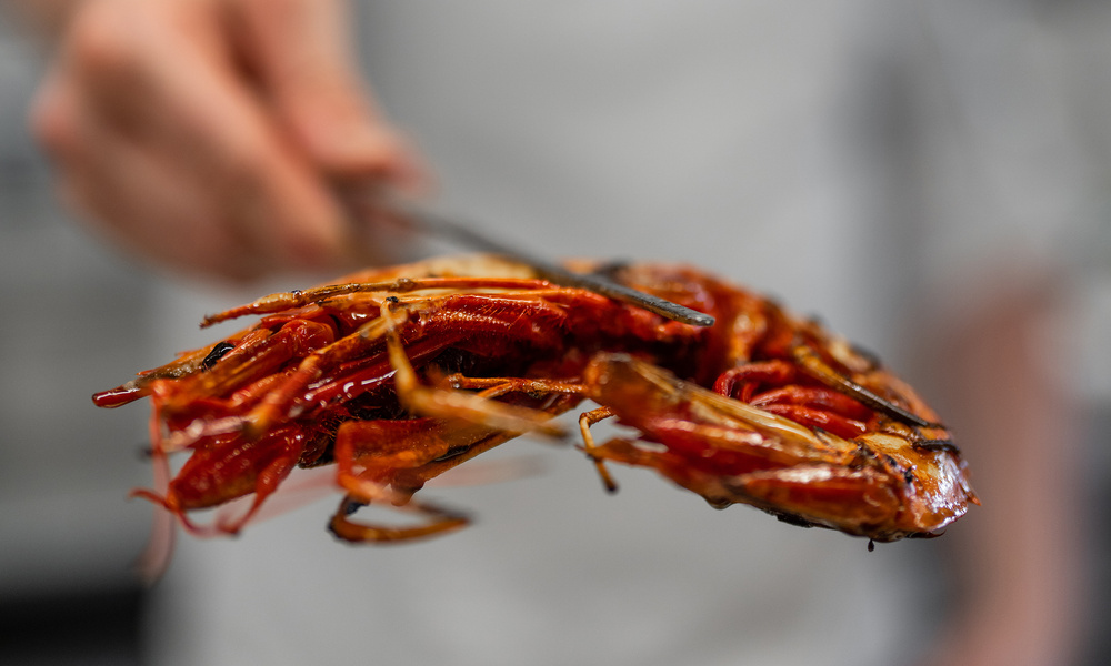 Eine Nahaufnahme einer gegrillten Garnele, die von einer Person in einem weißen Hemd mit einer Zange gehalten wird.