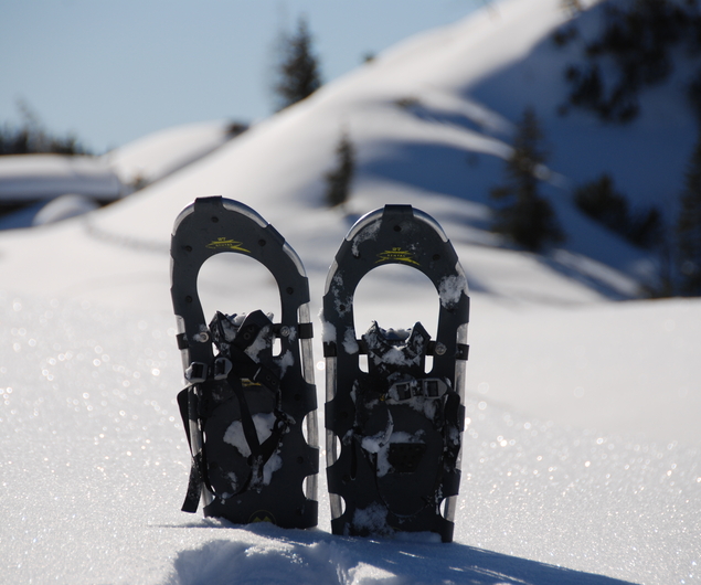 Ein Paar Schneeschuhe, das aufrecht im tiefen Schnee steht, mit verschneiten Hügeln und Bäumen im Hintergrund.