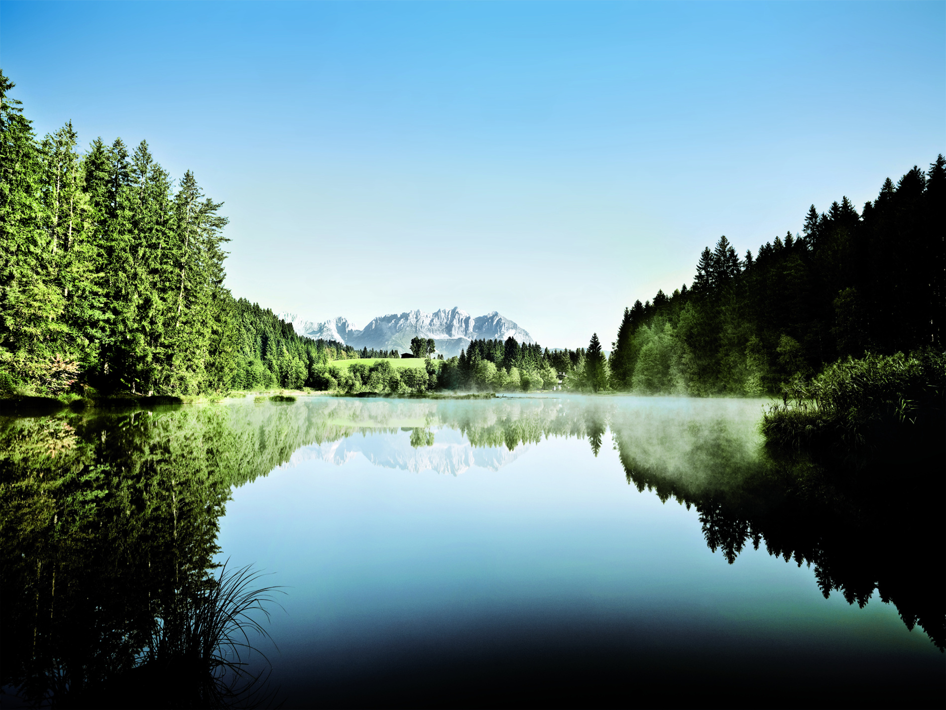 In einem ruhigen See spiegeln sich Bäume und ferne Berge unter einem klaren blauen Himmel.