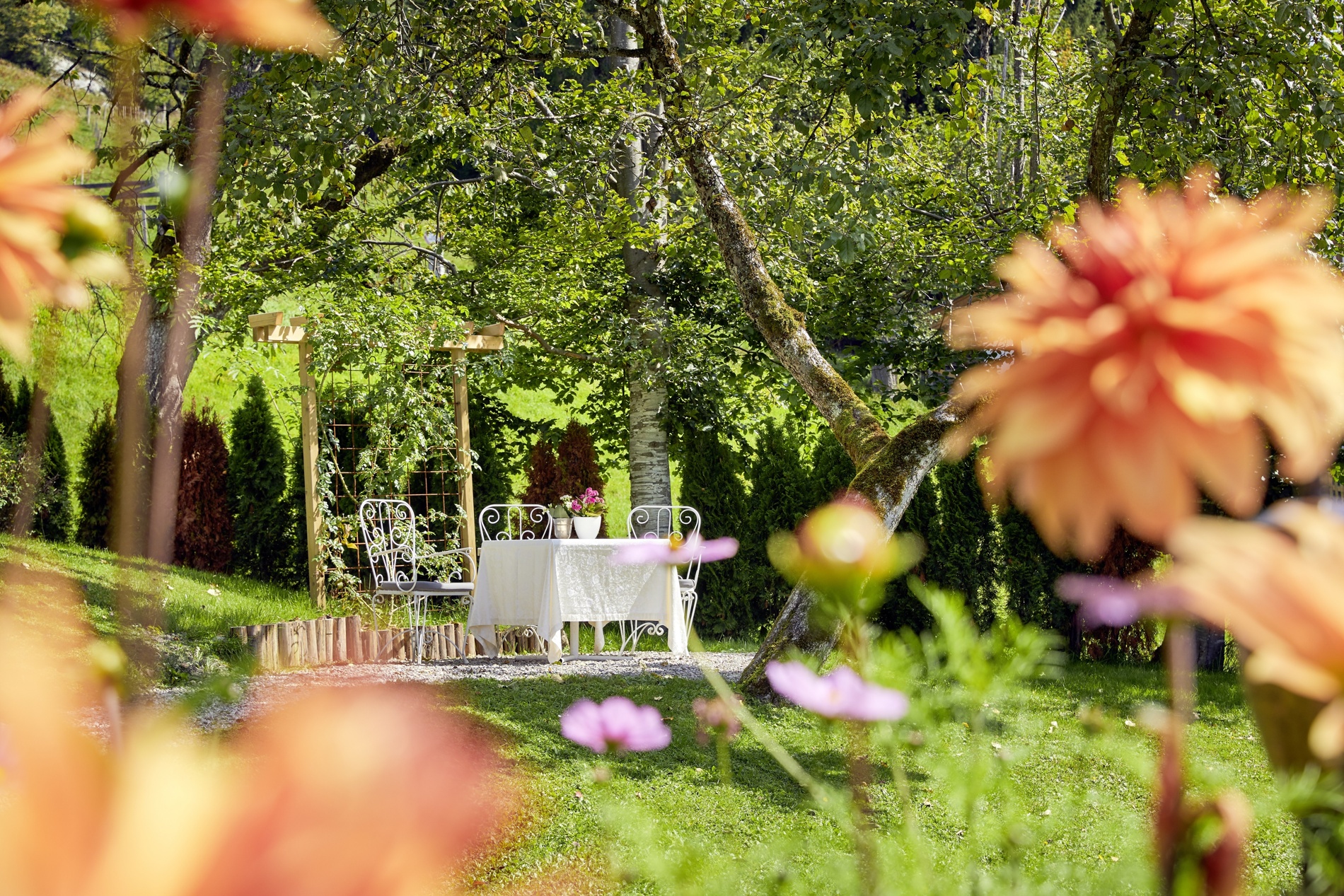 Ein weißer Tisch und Stühle stehen unter Bäumen in einem sonnigen Garten, umgeben von orangefarbenen und rosa Blumen.