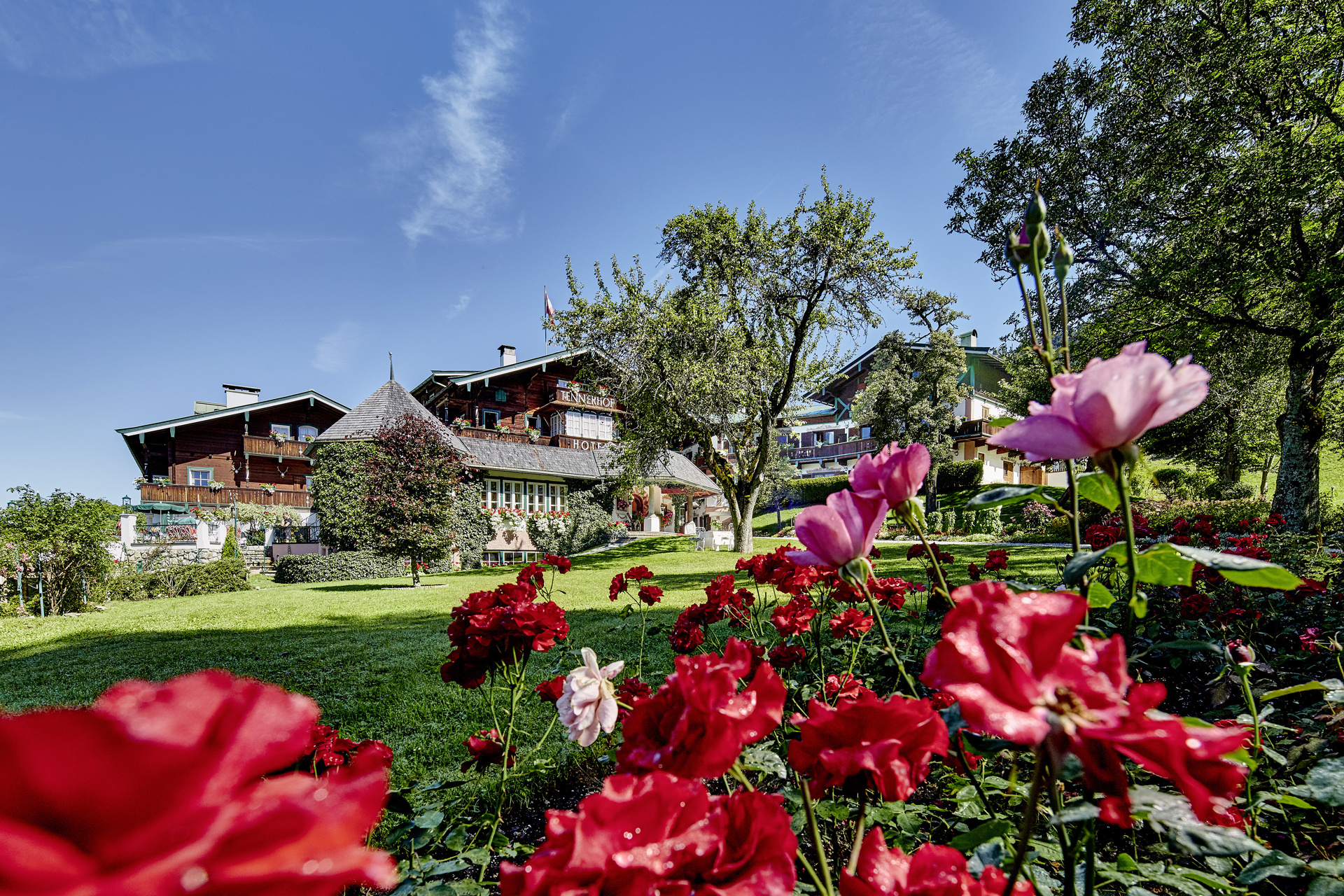 Colorful roses in the foreground, a large wooden hut and trees under a clear blue sky in the background.
