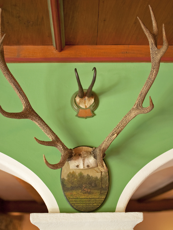 Zwei montierte Geweihe an einer grünen Wand, von unten gesehen.